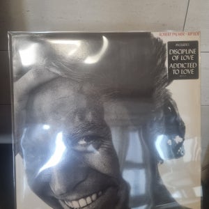 [중고] 로버트 팔머 LP / Robert Palmer- riptide LP