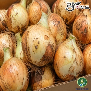 국내산 26년 창녕 산지직송 햇양파 단단한 양파 제철양파 중, 대 10kg 1박스
