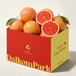 달콤파크 프리미엄 루비 레드 자몽 대용량 중과, 14kg, 1개