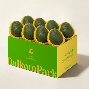 달콤파크 프리미엄 생 아보카도 대용량 대과, 5.5kg, 1개