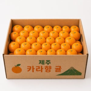제주도 카라향 고당도 노지 새콤달콤 가정용 감귤 4.5kg, 1개