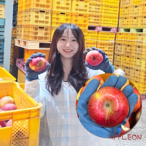 안동 가정용 꼬마 흠과 미니 못난이사과 5kg