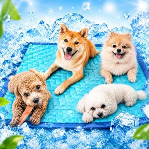 FITINUS 피디너스 강아지냉감매트 고양이쿨패드 대형견냉감 강아지유모차매트