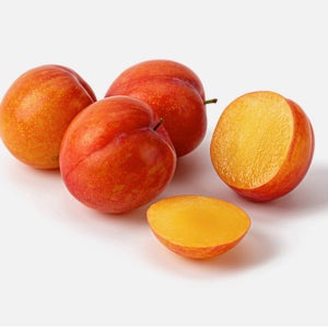 국내산 고당도 자두 소과 산지직송 제철 과일 달콤한 신선 300g, 5개