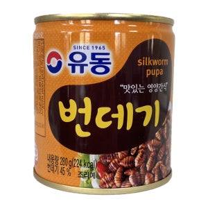 유동 번데기 280g, 24개