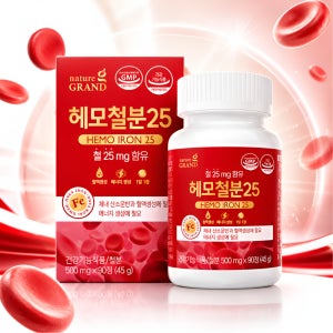 헤모철분25 500mg 90정 철분 영양보충 대용량