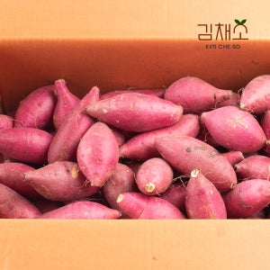 김채소 산지직송 국내산 달콤촉촉 부드러운 꿀밤고구마 중, 10kg, 1개