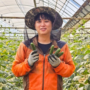 고양이들과 키우는 산지직송 스낵오이 미니오이 중, 4.5kg, 1개