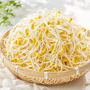 국산 무농약 콩나물 천연 지하 암반수 재배 신선한 콩나물 1kg, 1개