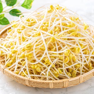 국산 무농약 콩나물 천연 지하 암반수 재배 신선한 콩나물 3kg, 1개