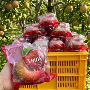 산지직송 영주 껍찔째 먹는 세척사과 2.5kg 5kg 부사 꿀사과