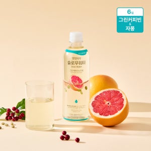 일일하우 제로칼로리 차음료 6개