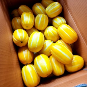 성주참외 3kg 5kg 못난이 꼬마참외 랜덤과 가정용 흠집과 성주부라더