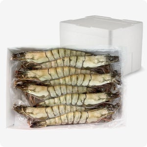 [다인] 블랙타이거 중하 (8미) 킹타이거 소금구이 냉동 캠핑 500g, 10개