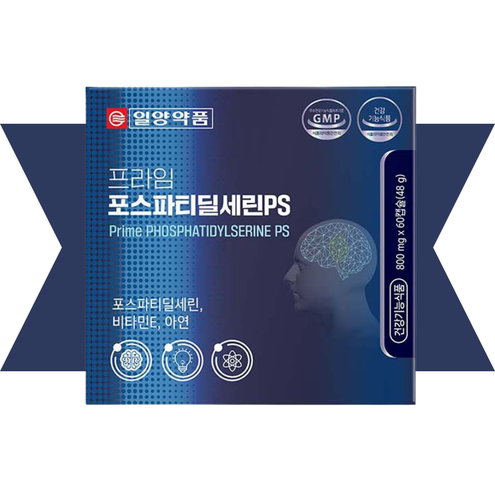 브레인300