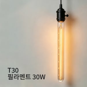 T300 필라멘트 에디슨전구