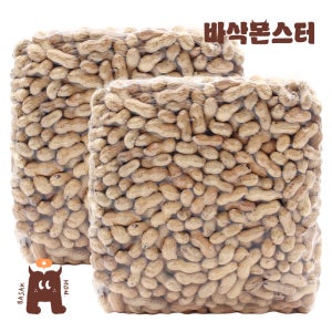 바삭몬스터 볶음 피땅콩 10kg 벌크 / 햇 25년산 햇땅콩 정월 대보름 부럼 껍질땅콩