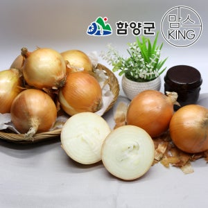 [함양군]함양농협 농산물 산지유통센타 국내산 조생종 햇양파 15kg