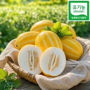 [산지직송] 자연그대로 성주 유기농 참외 아삭한 꿀맛 특품 3kg, 1개