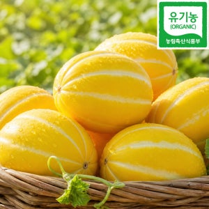 [산지직송] 자연그대로 성주 유기농 참외 아삭한 꿀맛 특품 5kg, 1개