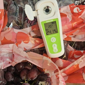 캔디하트포도 솜사탕맛포도 700g