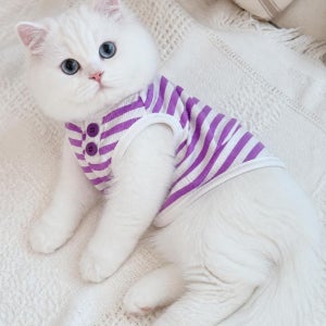 강아지 나시 반려견 민소매 애견 나시 고양이옷 여름옷 쿨링 냉감 스트라이프 단추