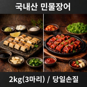 국내산 자포니카 풍천 민물장어 초벌 프리미엄특대 3마리 2kg, 1개