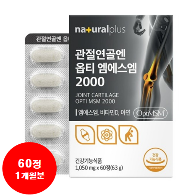 관절 더하기 엠에스엠 2000