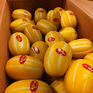 성주 참외 가정용 못난이 3kg 5kg 10kg 고당도 제철 산지직송