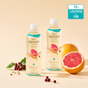 일일하우 슬로우워터 그린커피빈&자몽 제로칼로리