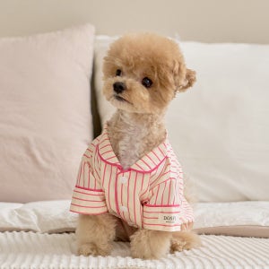 실크핏 러브썸 펫 잠옷 반려동물 강아지 고양이 파자마