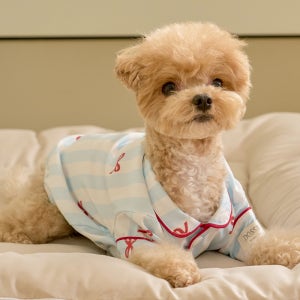 실크핏 보니 펫 잠옷 반려동물 강아지 고양이 파자마