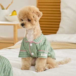 실크핏 웬즈데이 펫 잠옷 반려동물 강아지 고양이 파자마
