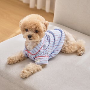 실크핏 클로에 펫 잠옷 반려동물 강아지 고양이 파자마
