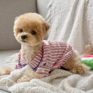 실크핏 피오니 펫 잠옷 반려동물 강아지 고양이 파자마