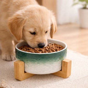 (16cm) 우드받침 (그린그라데이션)고양이 도자기식기 반려동물 강아지밥그릇