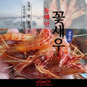 당일출고 동해안 활 꽃새우 독도새우 500g