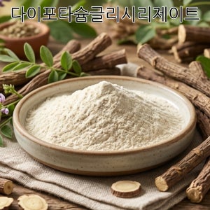 수용성감초파우더 DPG 다이포타슘글리시리제이트 500g, 1개