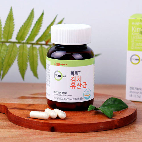 락토피 김치유산균