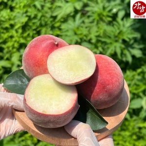 제철 하우스 복숭아 백도 황도 혼합 새벽수확 산지직송