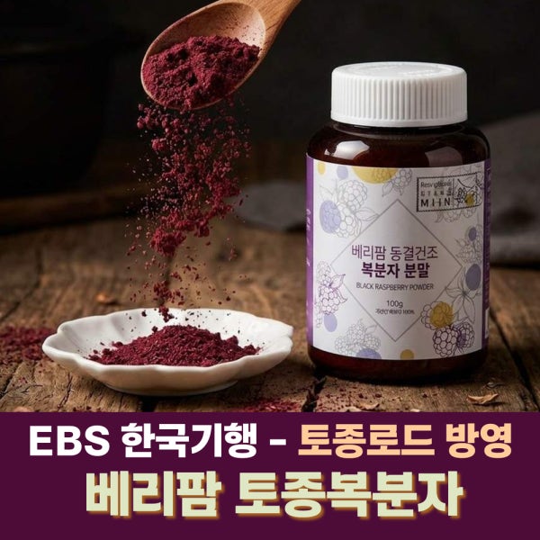 [베리팜] 고창 복분자분말 100g 동결건조 100% 1병