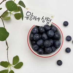 국산 무농약 생블루베리 500g 대과 16mm 이상 신선수확