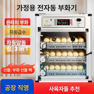 병아리 부화기 대형 유정란 거위 업소용 중형 인큐베이터