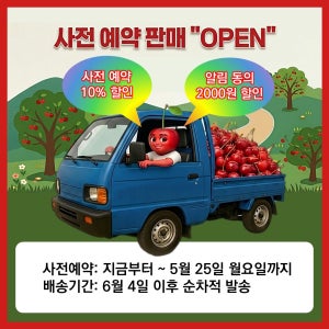 영덕 체리베리농원 국산 체리 1kg, 2개