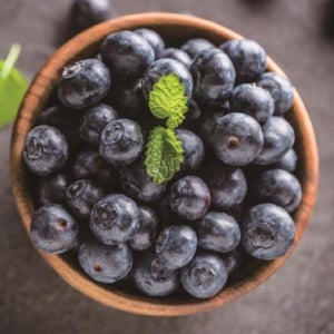 생블루베리 국산 블루베리 생과 영동 국내산 브루베리 왕특 1kg, 1개