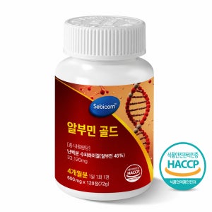 세비콤 알부민 골드 600mg x 120정