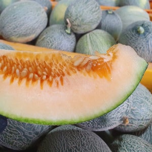 고당도 고령 그린 하미과 메론 5kg 10kg 못난이 랜덤과 당일선별
