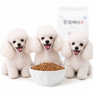 건강백서 푸들 말티푸 스탠다드 토이 푸들 사료 6kg