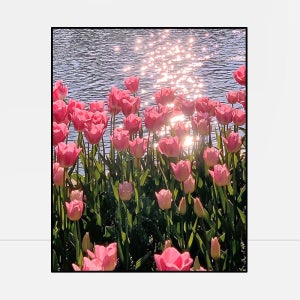 보석십자수 튤립 40X50CM 원형 유화 정물화 십자수