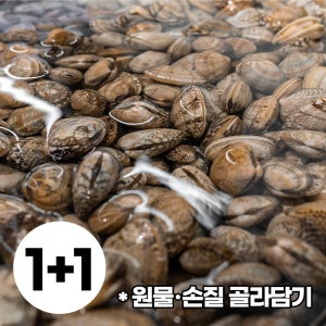 국산 바지락 남해안 왕 깐 제철 해감 산지직송 1kg+1kg